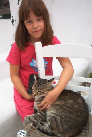 cat13