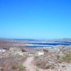 Delos