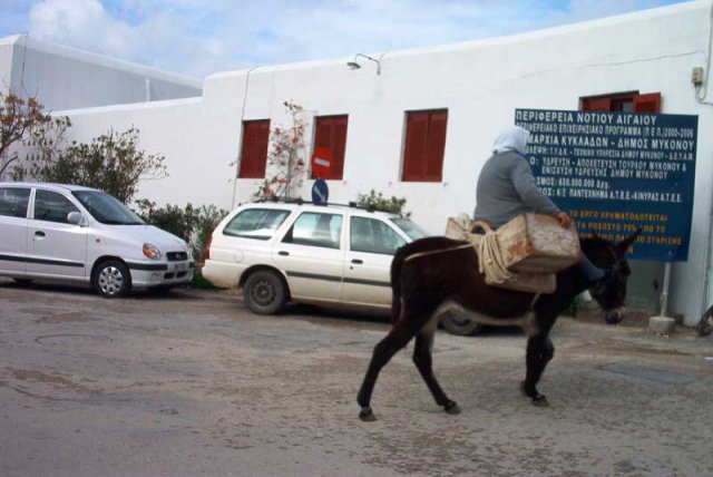 Donkeys