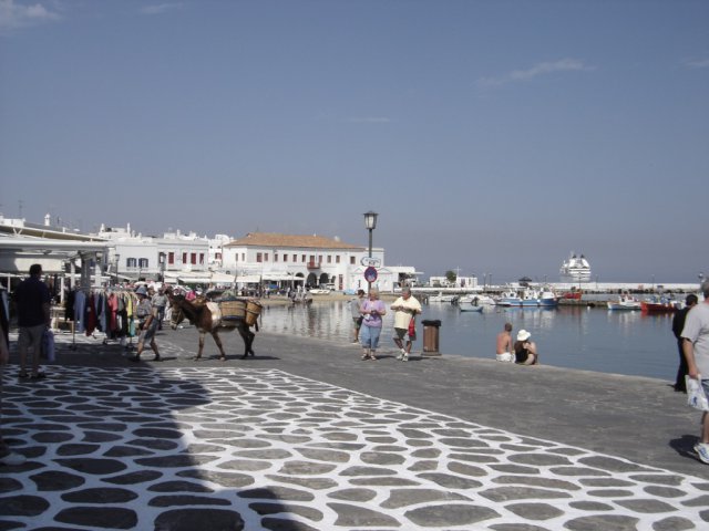 City new photos