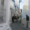Donkeys » New donkeys