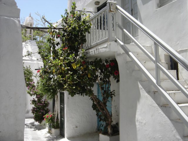 Small streets new