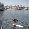 Windmills new photos