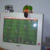 My parrot