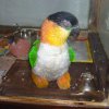 My parrot