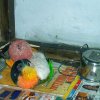 My parrot