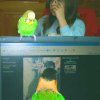 My parrot