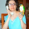 My parrot