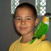 My parrot
