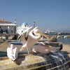 Pelicans