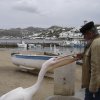 Pelicans