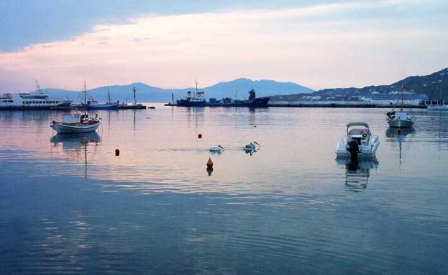 Pelicans'04