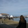Theofania'10