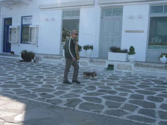 My Yorkie