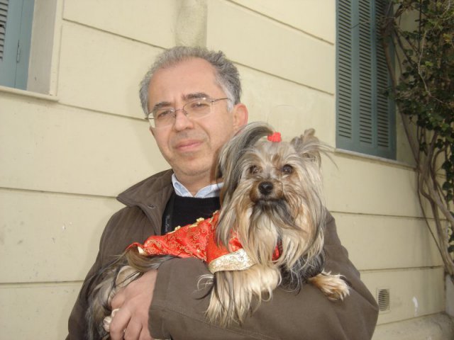 My Yorkie