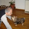 My Yorkie